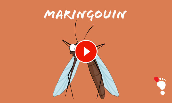 Maringuoin image bande annonce site web